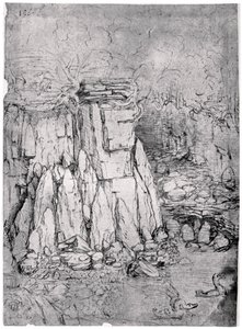 Studio di una caverna rocciosa con anatre da Leonardo da Vinci