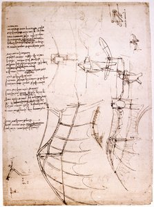 Studio sulle ali. Codice Atlantico