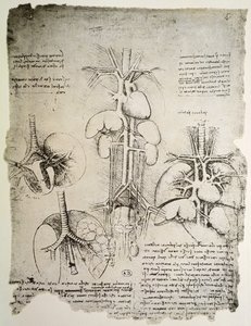 Il cuore e la circolazione, facsimile del libro di Windsor da Leonardo da Vinci