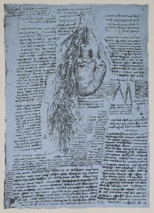 Il cuore e le arterie bronchiali, facsimile del libro di Windsor da Leonardo da Vinci