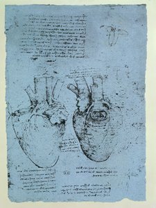 Il Cuore, facsimile del libro di Windsor da Leonardo da Vinci