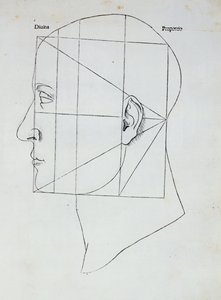 La testa umana, illustrazione per 