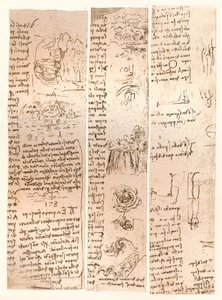 Tre disegni, c1472-c1519, 1883
