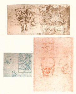 Tre disegni, c1472-c1519 1883