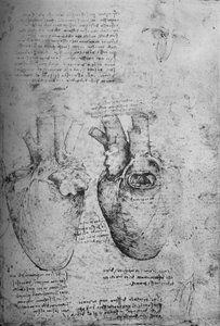 Due disegni del cuore, c1480
