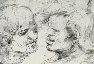 Due teste da Leonardo da Vinci