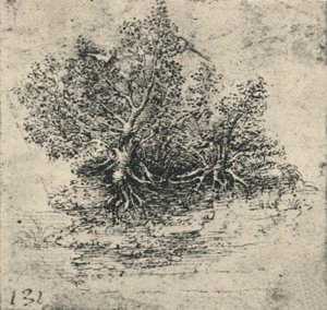 Due alberi sulla riva di un ruscello da Leonardo da Vinci