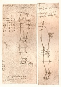 Due disegni che illustrano la teoria delle proporzioni della figura umana, c1472-c1519 1883