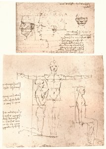 Due disegni che illustrano la teoria delle proporzioni della figura umana da Leonardo da Vinci