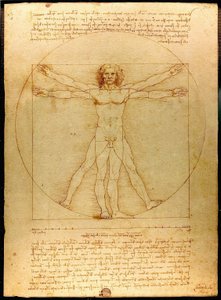 Uomo vitruviano da Leonardo da Vinci