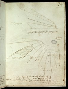 Ala. Disegno di macchina volante. Manoscritto di Leonardo da Vinci