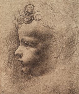 Testa di un bambino piccolo da Leonardo da school of Vinci
