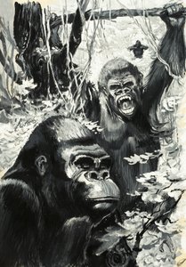 I gorilla da Leslie Field Evans