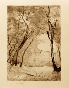 Alberi sulla riva del Grunewaldsee da Lesser Ury
