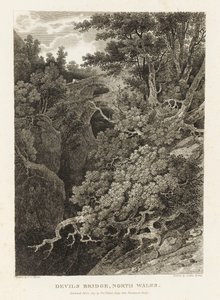 Ponte del Diavolo, Galles del Nord da Letitia Byrne