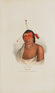 PE-A-JICK; Un capo Chippewa, da Il portafoglio degli aborigeni da Lewis, James Otto