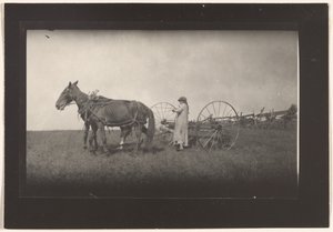 [Scena di fattoria, Massachusetts] da Lewis W. Hine