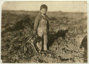 Jo di 6 anni che raccoglie barbabietole da zucchero in una fattoria vicino a Sterling, Colorado, 1915