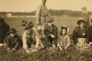 Annette Roy, detta di 7 anni, e Napoleone Ruel, detto di 9 anni, che raccolgono mirtilli a Smart