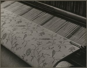  da Lewis Wickes Hine