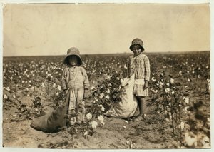 Jewel e Harold Walker, 6 e 5 anni, raccolgono 20-25 libbre di cotone al giorno a Geronimo, Contea di Comanche, Oklahoma, 1916 da Lewis Wickes Hine