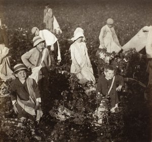  da Lewis Wickes Hine