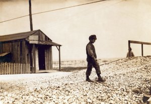 Uno dei giovani sgusciatori di ostriche, Pass Christian, Mississippi, febbraio 1911 da Lewis Wickes Hine