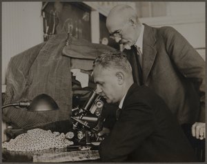  da Lewis Wickes Hine