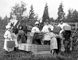 Immagine sconosciuta da Lewis Wickes Hine
