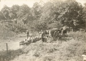 Senza titolo, ca. 1935