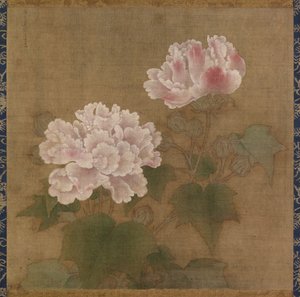 Rose di cotone rosse e bianche da Li Di Unknown – Creator
