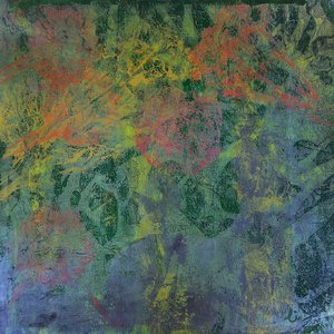 Abstract su foreste biologiche da Li Gessbo