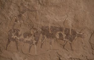 Bovini e figure umane, pittura rupestre, Oued in Djeran, vicino a Djanet, Tassili n