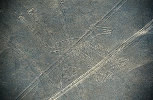 Cane, linee di Nazca, Nazca, Perù, Civiltà Nazca (foto)