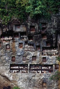 Nicchie funerarie con figure mortuarie Tau Tau, villaggio di Lemo, isola di Sulawesi, Indonesia da Unbekannt Unbekannt