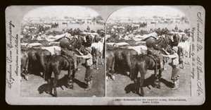 Guerra dei Boeri (Sudafrica) da Unbekannt Unbekannt