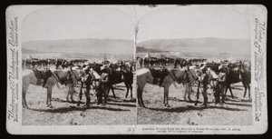 Guerra dei Boeri (Sudafrica)