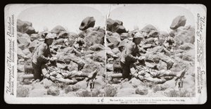 Guerra dei Boeri (Sudafrica)