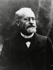 Ritratto di Charles Louis Alphonse Laveran, batteriologo medico francese, Premio Nobel per la Medicina nel 1907, foto di Eugene Pirou