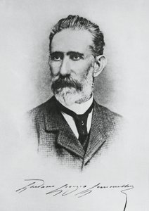 Ritratto di Gaetano Giorgio Gemmellaro (1832-1904), geologo, paleontologo e politico italiano, incisione da Unbekannt Unbekannt