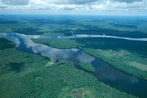 Venezuela, Guayana, Stato di Amazonas, fiume Orinoco, vista aerea