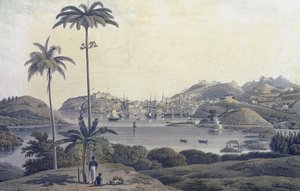 Veduta della città di St. George sull