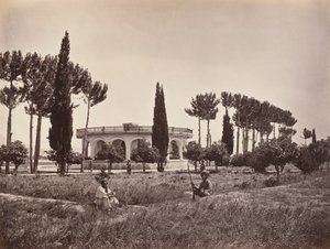 Il giardino dell