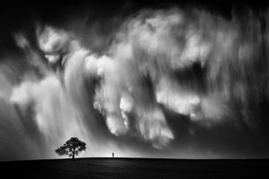 Cielo spettacolare e albero solitario da Like He