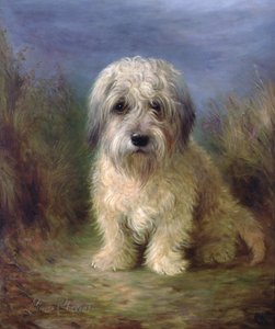 Dandie Dinmont Terrier da Lilian Cheviot