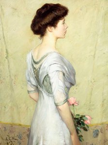 La rosa rosa