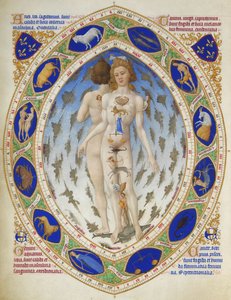 Très Riches Heures del duca di Berry: Uomo anatomico
