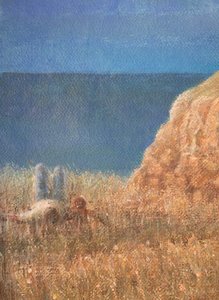 Sentiero costiero da Lincoln Seligman