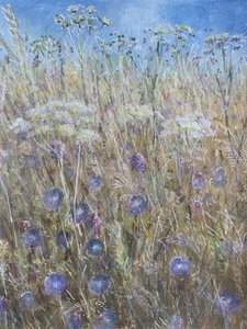 Fiordaliso 1 da Lincoln Seligman