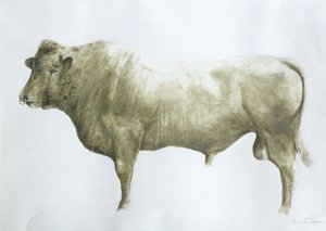 Toro di Islay, 2004